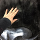Illustration for article titled Tokyos Giant Cat Billboard Is Big Enough to Pet
